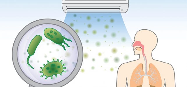 Air Restoration and Mould Treatment